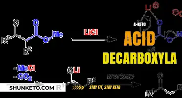 Understanding A-Keto Acid Decarboxylation: Mechanisms, Enzymes, and Metabolic Roles