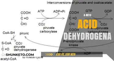 Exploring A-Keto Acid Dehydrogenase: Key Enzyme in Metabolic Pathways