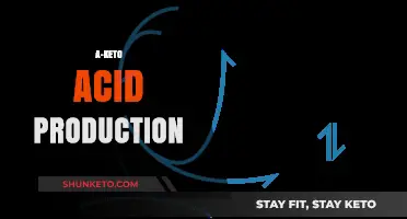 Understanding A-Keto Acid Production: Key Processes and Metabolic Insights