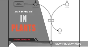 Exploring the Role of α-Ketobutyric Acid in Plant Metabolism and Function