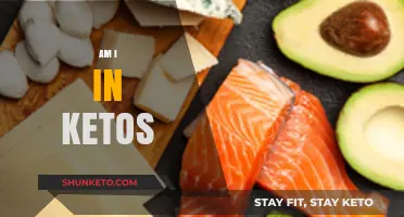Am I in Ketosis? Signs, Symptoms, and Testing Tips
