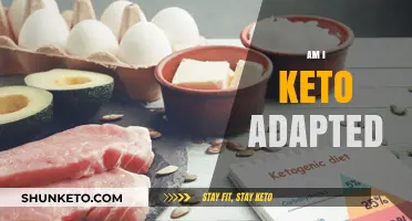 Am I Keto Adapted? Signs, Benefits, and How to Know for Sure
