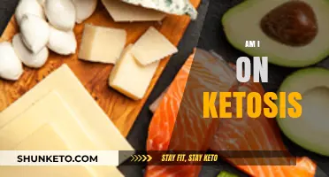 Am I on Ketosis? Signs, Symptoms, and Testing Tips