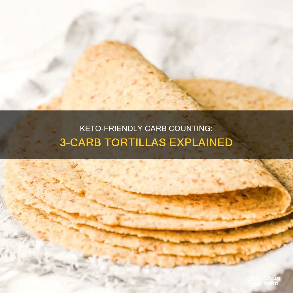 are 3 carb tortillas keto