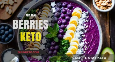 Are Acai Berries Keto-Friendly? A Low-Carb Diet Analysis