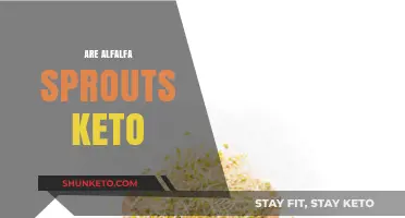 Are Alfalfa Sprouts Keto-Friendly? Nutrition Facts and Benefits Explained