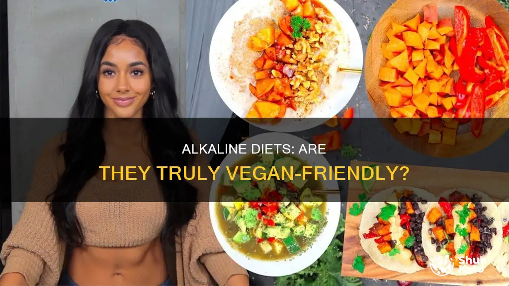 are alkaline diet the same as vegan