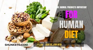Animal Products: Essential or Avoidable in Human Diets?
