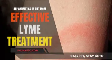 Antibiotics vs Diet: Lyme Treatment Options Compared
