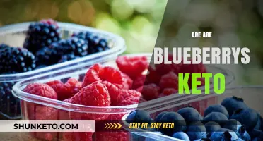 Are Blueberries Keto-Friendly? A Low-Carb Diet Guide to Berries