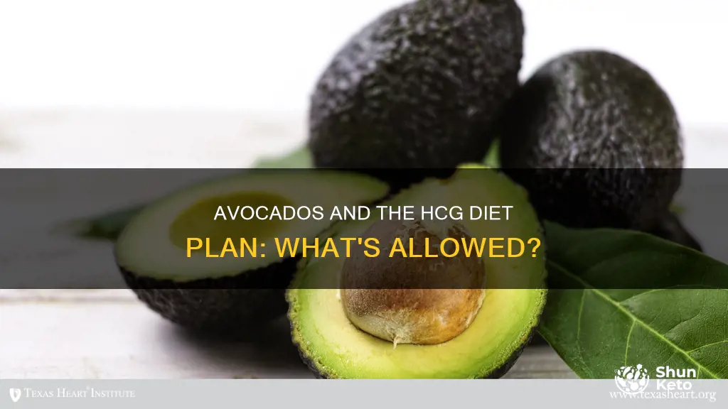 are avacados allowed on the hcg diet plan