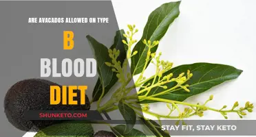 Avocados and Type B Blood Diet: What's the Verdict?