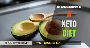 Avocados and Keto: Are They a Perfect Low-Carb Match?