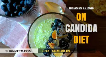 Avocados and Candida Diet: What's the Verdict?
