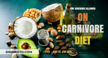 Carnivore Diet: Are Avocados Allowed or Not?