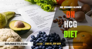 Avocado Consumption on the HCG Diet: Is It Permissible?