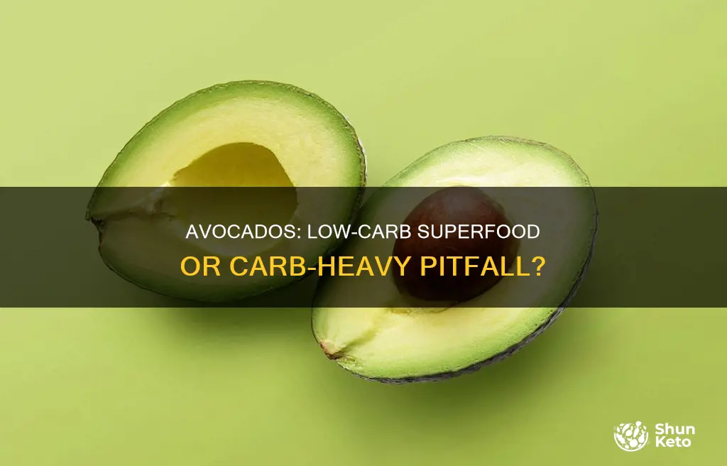 are avocados low carb