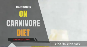 Carnivore Diet: Are Avocados Okay to Eat?