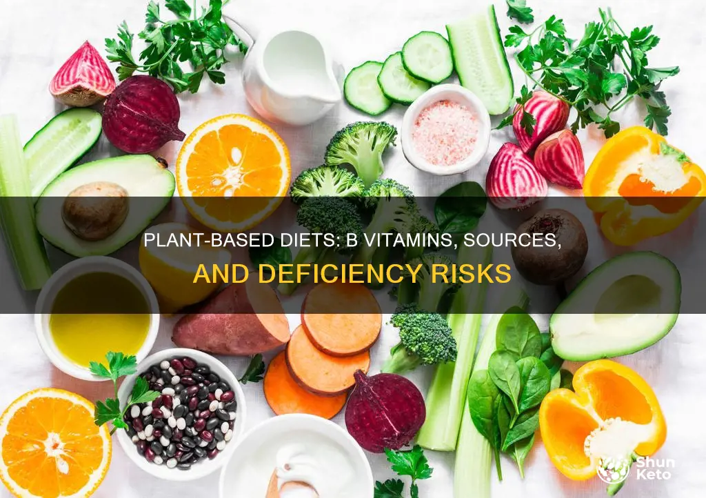 are b vitamins in plant based diet