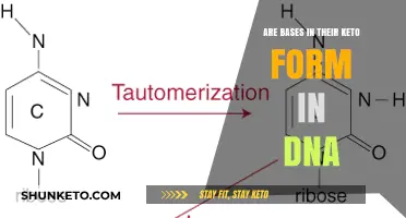 Exploring DNA: Are Bases Naturally in Their Keto Form?