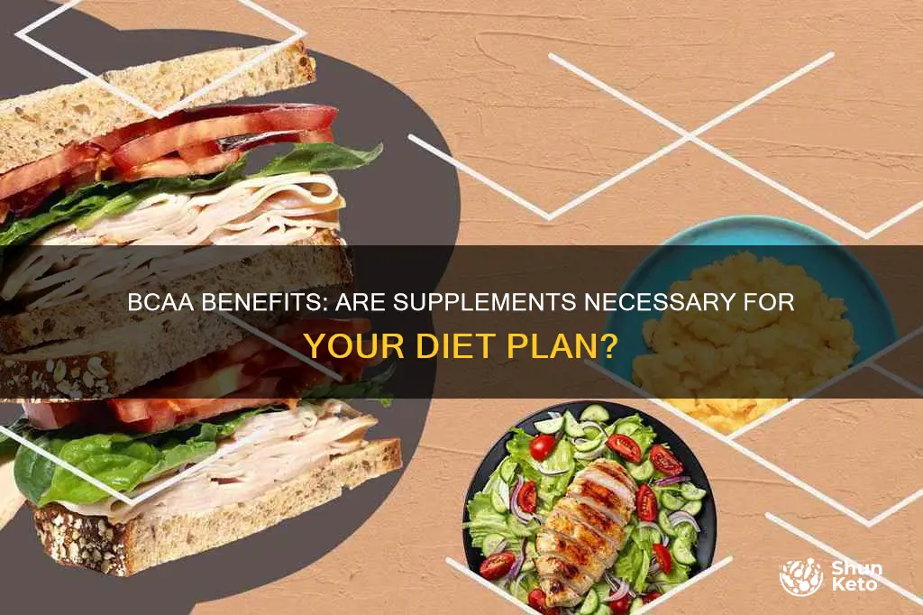 are bcaas necessary if diet plan