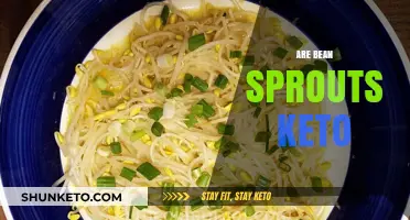 Are Bean Sprouts Keto-Friendly? Nutrition Facts and Low-Carb Tips