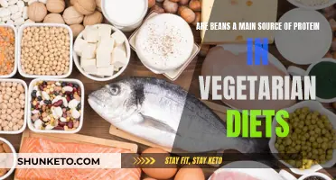 Beans: A Protein Powerhouse for Vegetarians