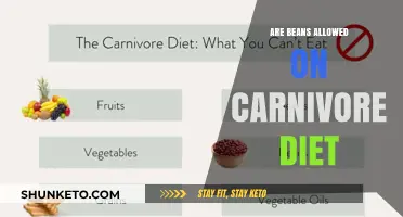 Carnivore Diet: Beans or No Beans?