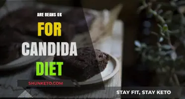 Beans and Candida Diet: What You Need to Know