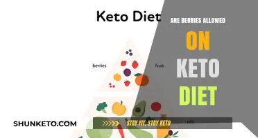 Can You Eat Berries on Keto? A Low-Carb Diet Guide