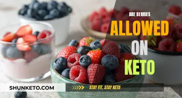 Berries on Keto: What's Allowed and What's Not