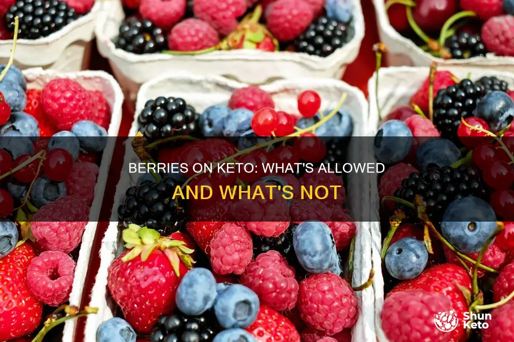 Berries On Keto: What's Allowed And What's Not | ShunKeto