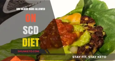 Black Beans: Friend or Foe on SCD Diet?