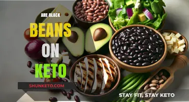 Can You Eat Black Beans on a Keto Diet? Facts Revealed