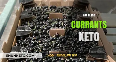Are Black Currants Keto-Friendly? Nutrition Facts and Benefits Explained