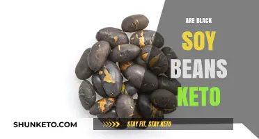 Are Black Soy Beans Keto-Friendly? A Low-Carb Diet Analysis