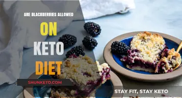 Can You Eat Blackberries on Keto? A Low-Carb Berry Guide