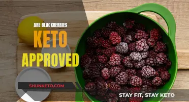 Blackberries and Keto: A Match Made in Heaven?