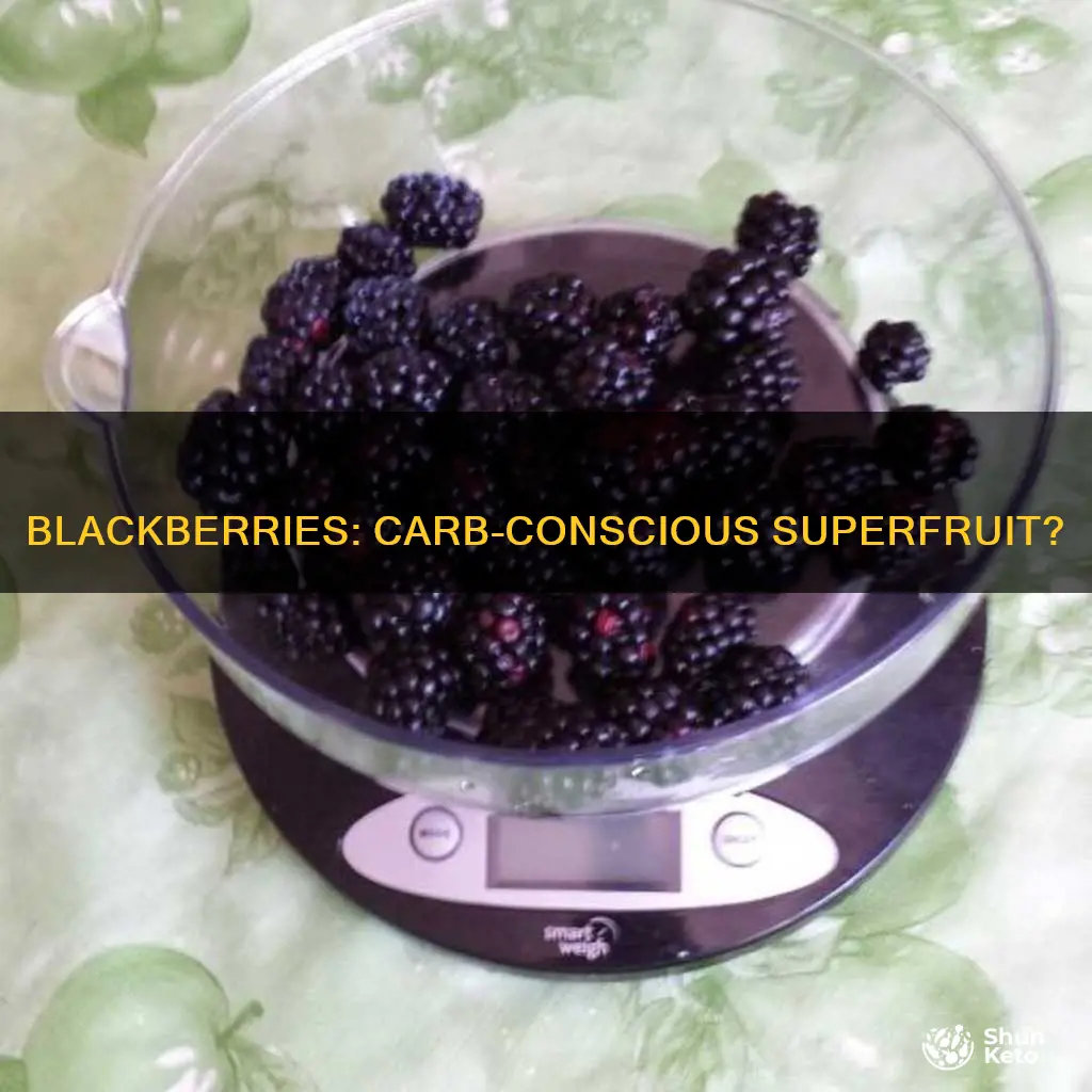 are blackberries low carb