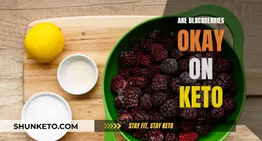 Blackberries and Keto: A Good Mix?