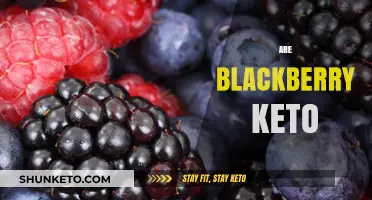 Are Blackberries Keto-Friendly? Unlocking Low-Carb Fruit Benefits