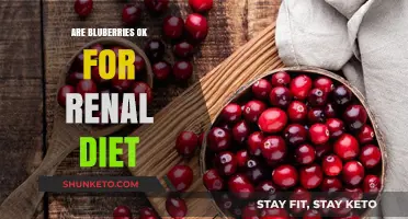 Renal Diet: Are Blueberries a Superfood or a Danger?