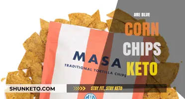 Are Blue Corn Chips Keto-Friendly? A Crunchy Diet Dilemma Explored