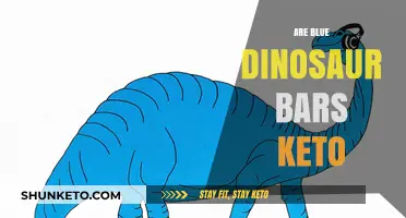 Are Blue Dinosaur Bars Keto-Friendly? A Nutritional Breakdown