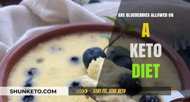 Can You Eat Blueberries on Keto? A Low-Carb Diet Guide