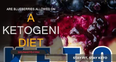 Can You Eat Blueberries on a Keto Diet?