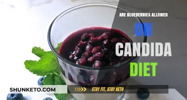 Blueberries and Candida Diet: What's the Verdict?