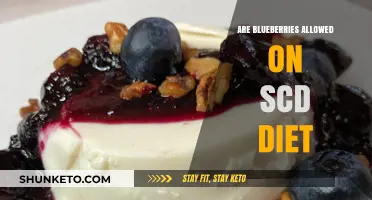 Blueberries and the SCD Diet: What's the Verdict?