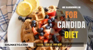 Blueberries and Candida Diet: What You Need to Know
