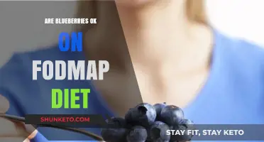 Blueberries and FODMAP: A Healthy Match?